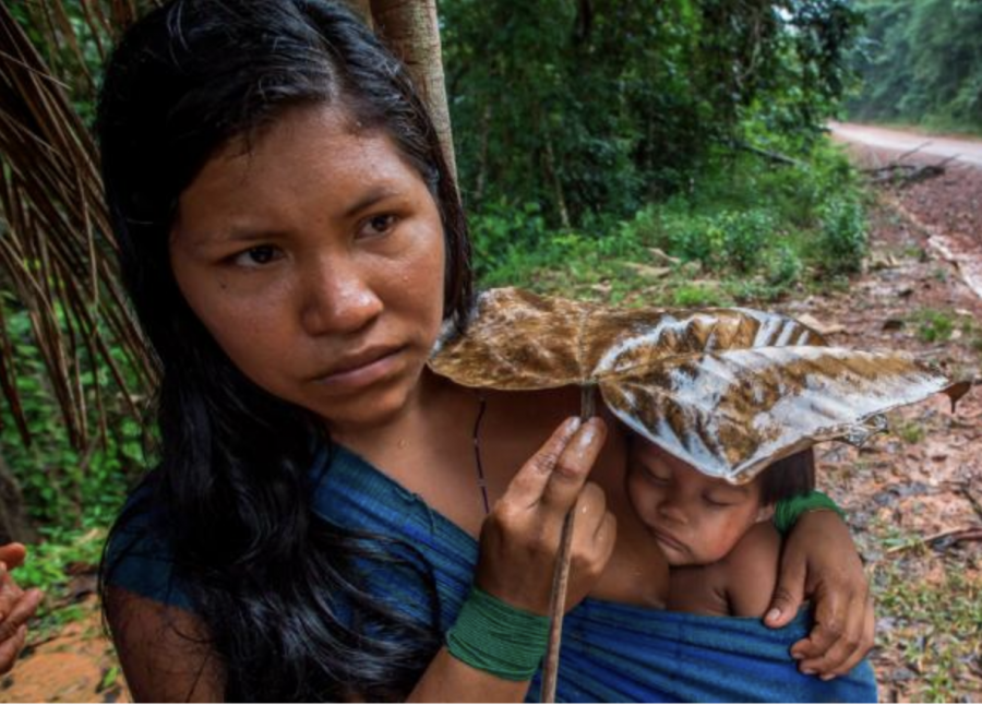 A prime example of indigenous people’s dependence on the Amazon as Karuwaniru Waiapi, from the Waiapi tribe, shields her son from the rain using a leaf. 