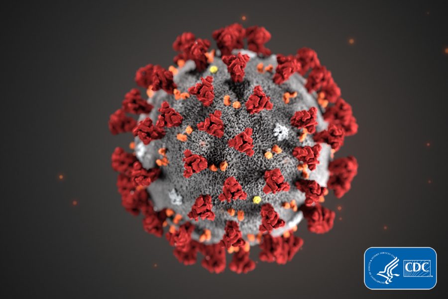 An image of what the coronavirus itself looks like.