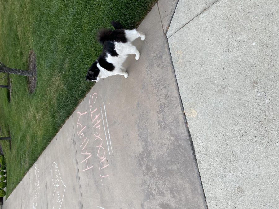 Sidewalk chalk with positive messages cover sidewalks of Somerset streets in Boise, amid quarentine