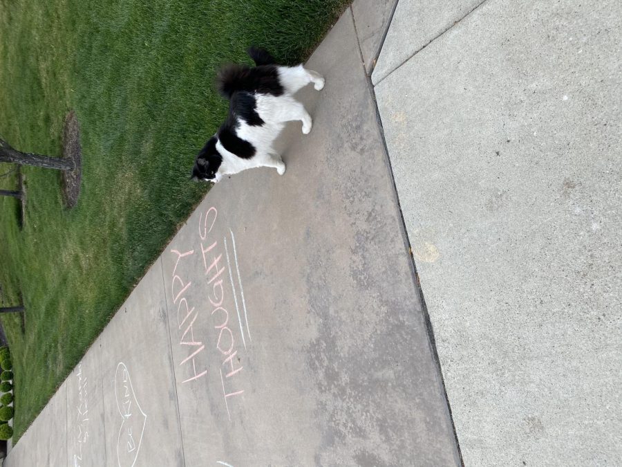 Sidewalk+chalk+with+positive+messages+cover+sidewalks+of+Somerset+streets+in+Boise%2C+amid+quarentine