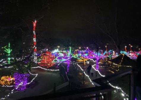 Boise Botanical Gardens, a garden of christmas lights from above in December of 2019 (Moesha Aplicano-Burnham) 
