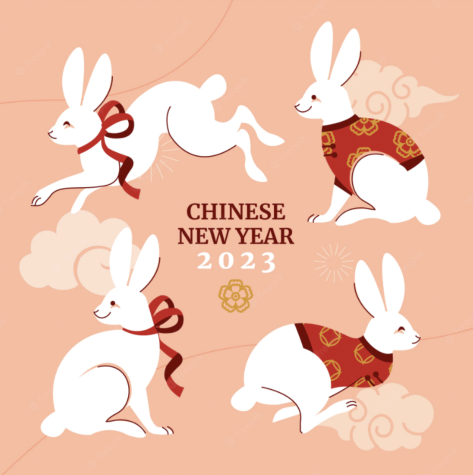 This year is the year of the rabbit. Hes hopping into the new year! (freepik.com).