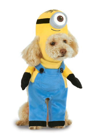 Dress Up Your Pet Day.
